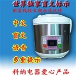 福禄康电器科技 从家电配件到医疗设备，多元化发展的制造业典范